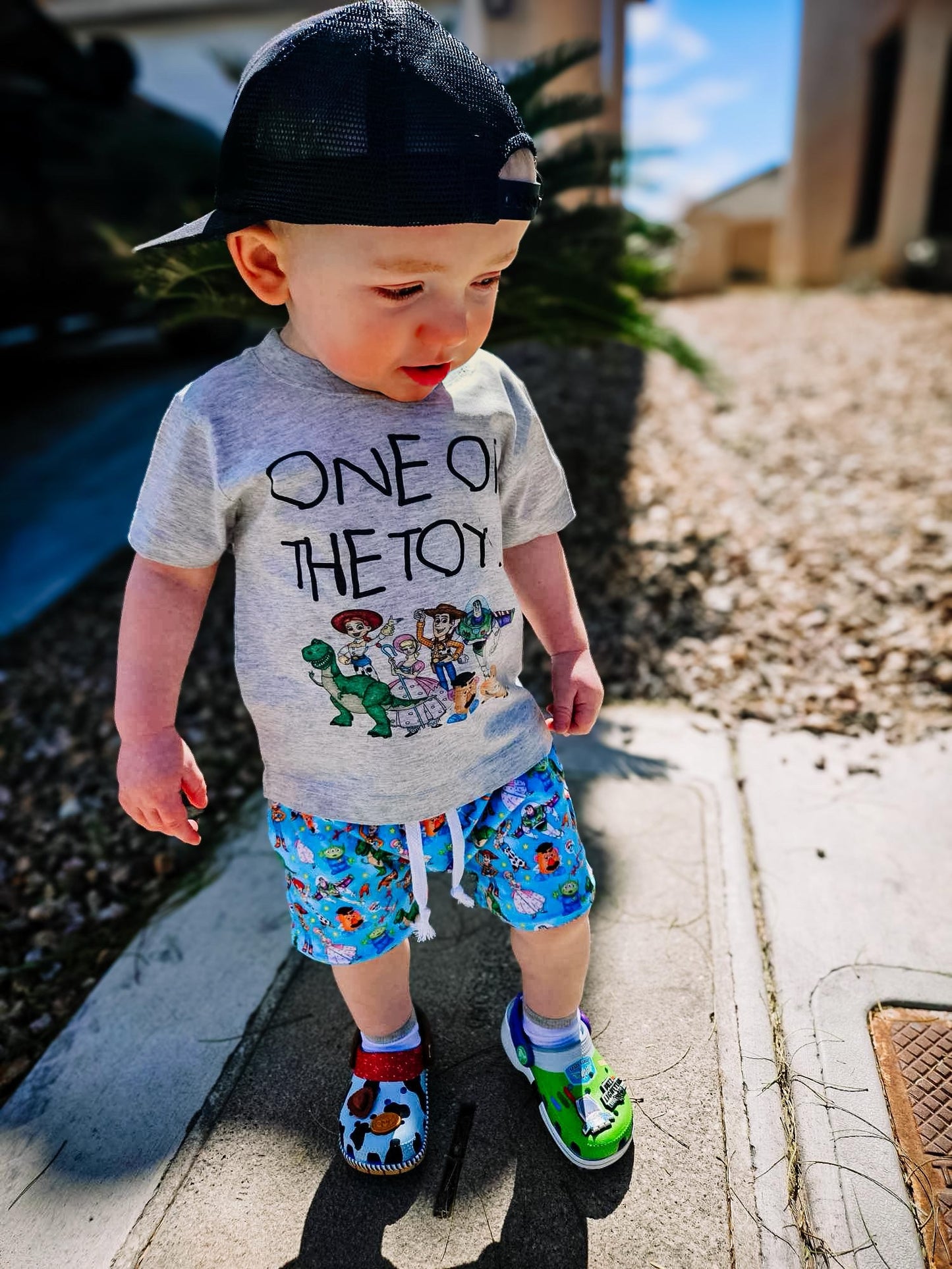 One of the toys( shirt only)