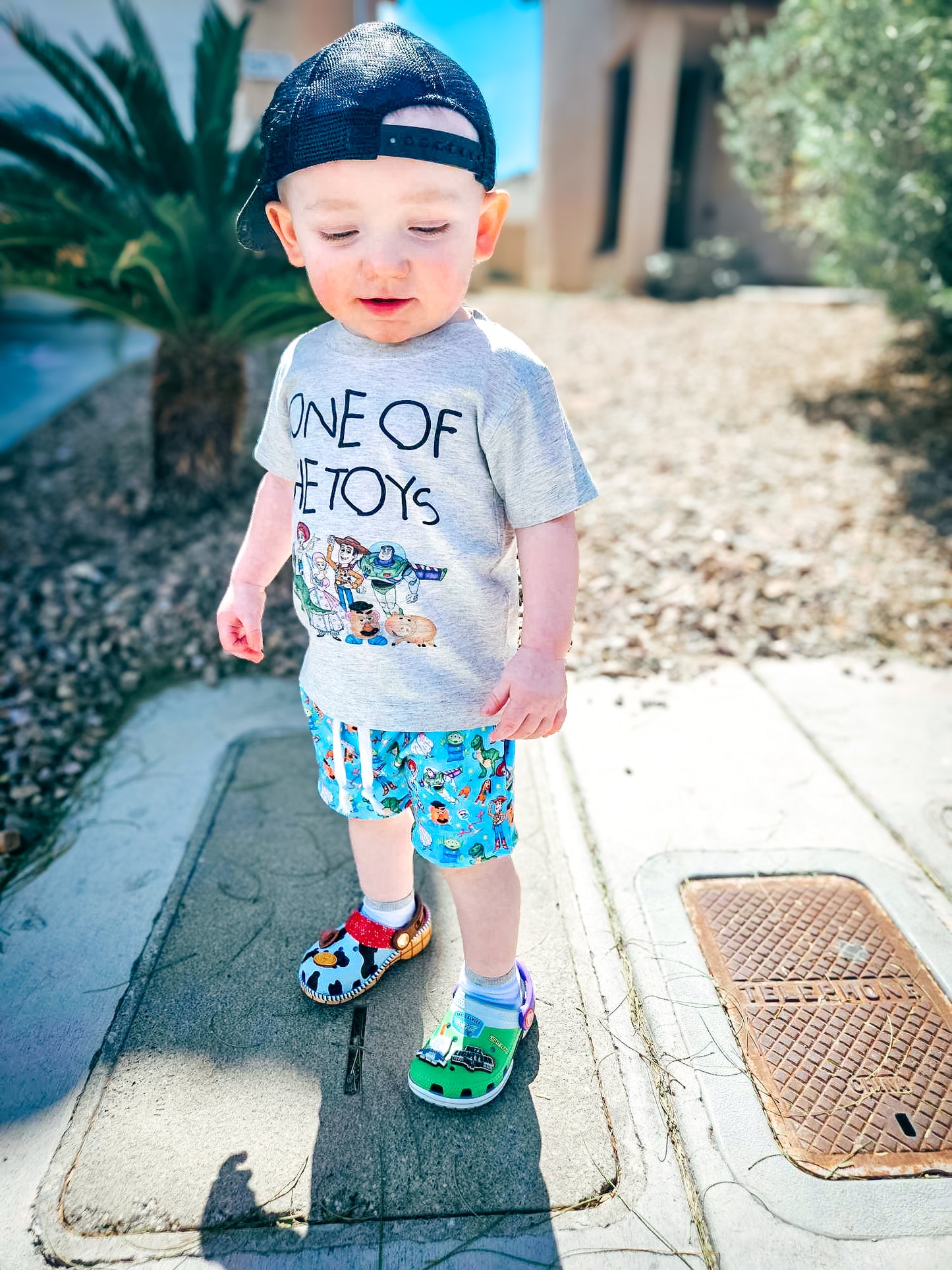 One of the toys( shirt only)