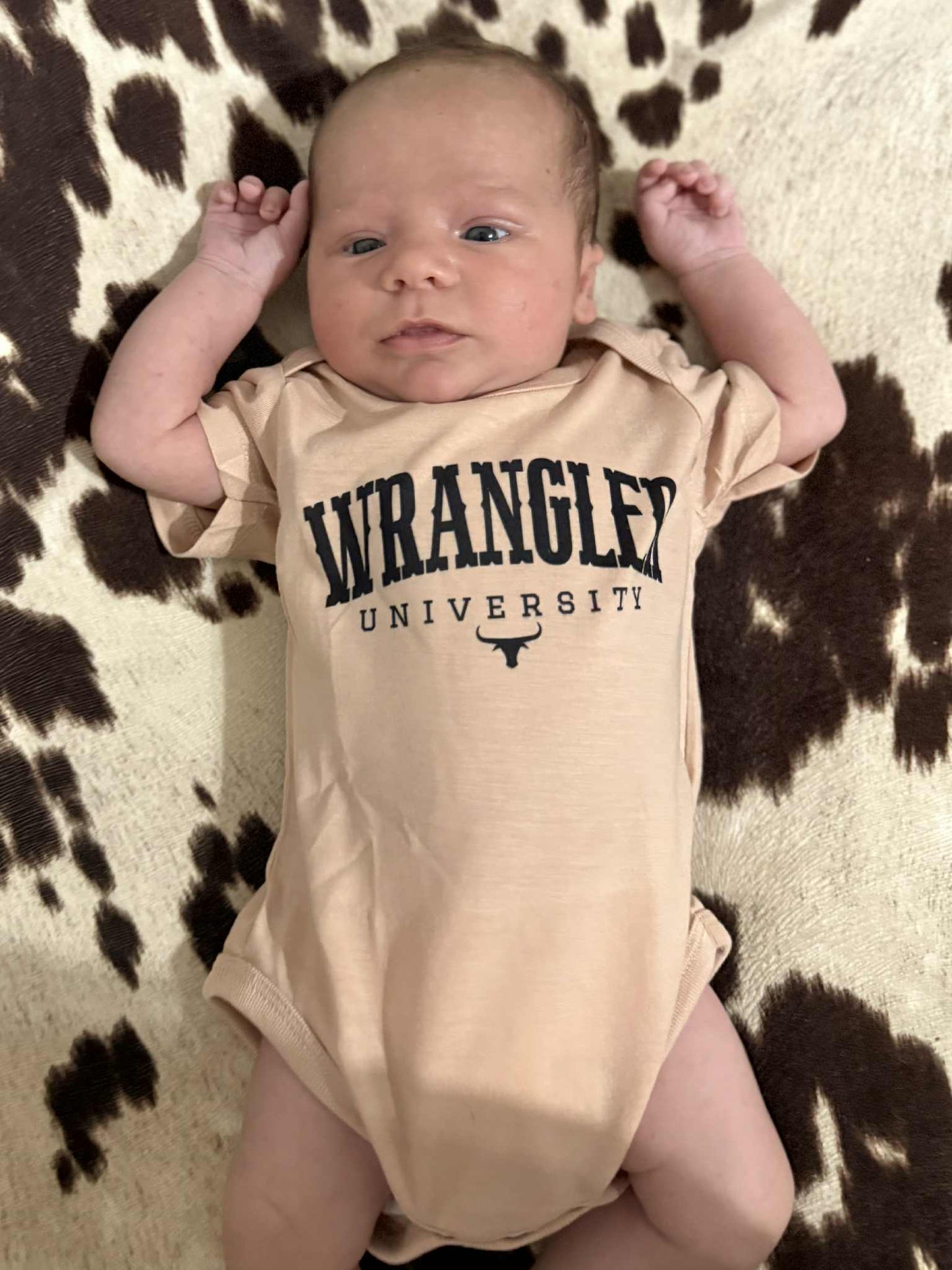 Wrangler university