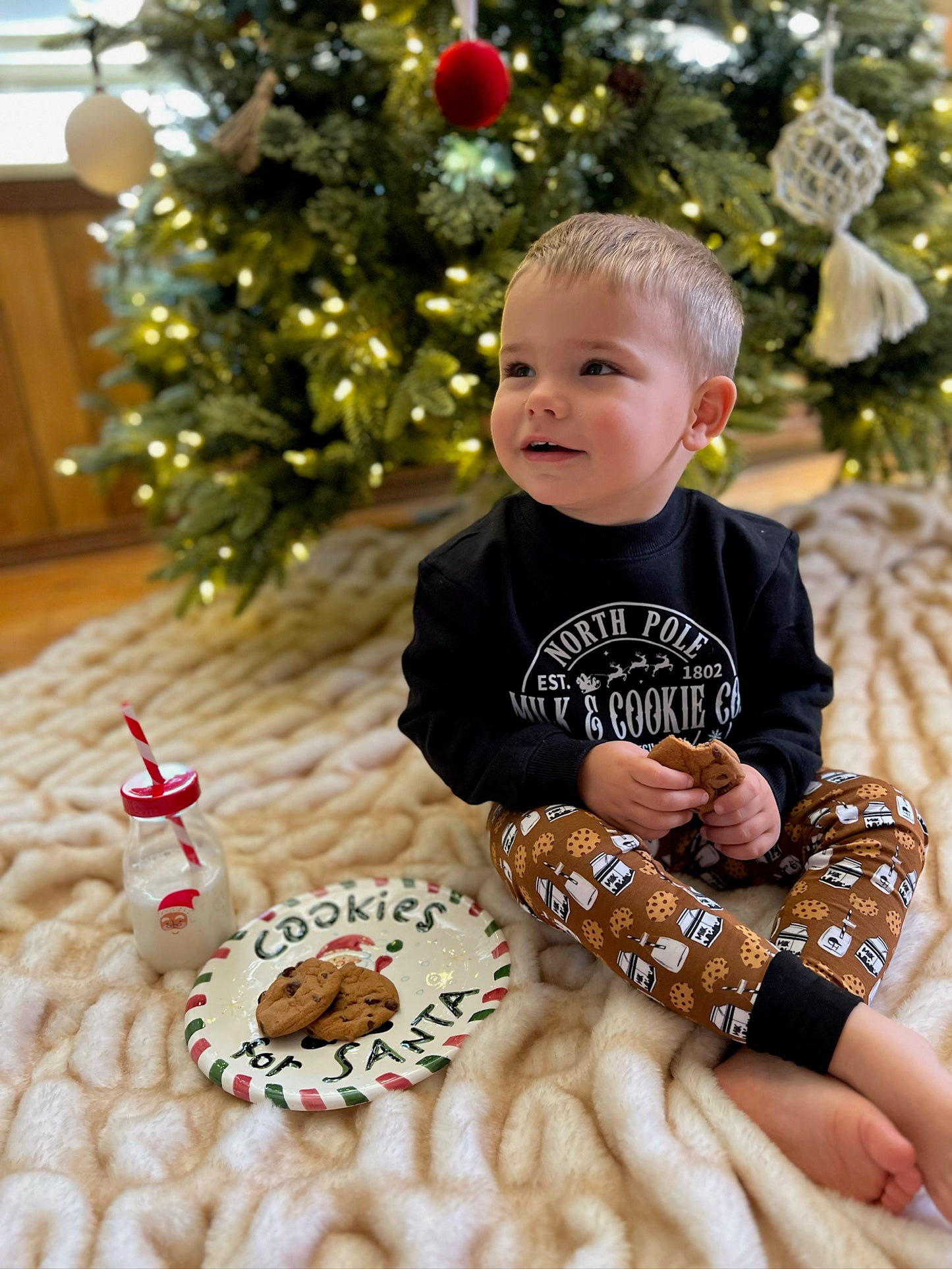 Milk and cookies