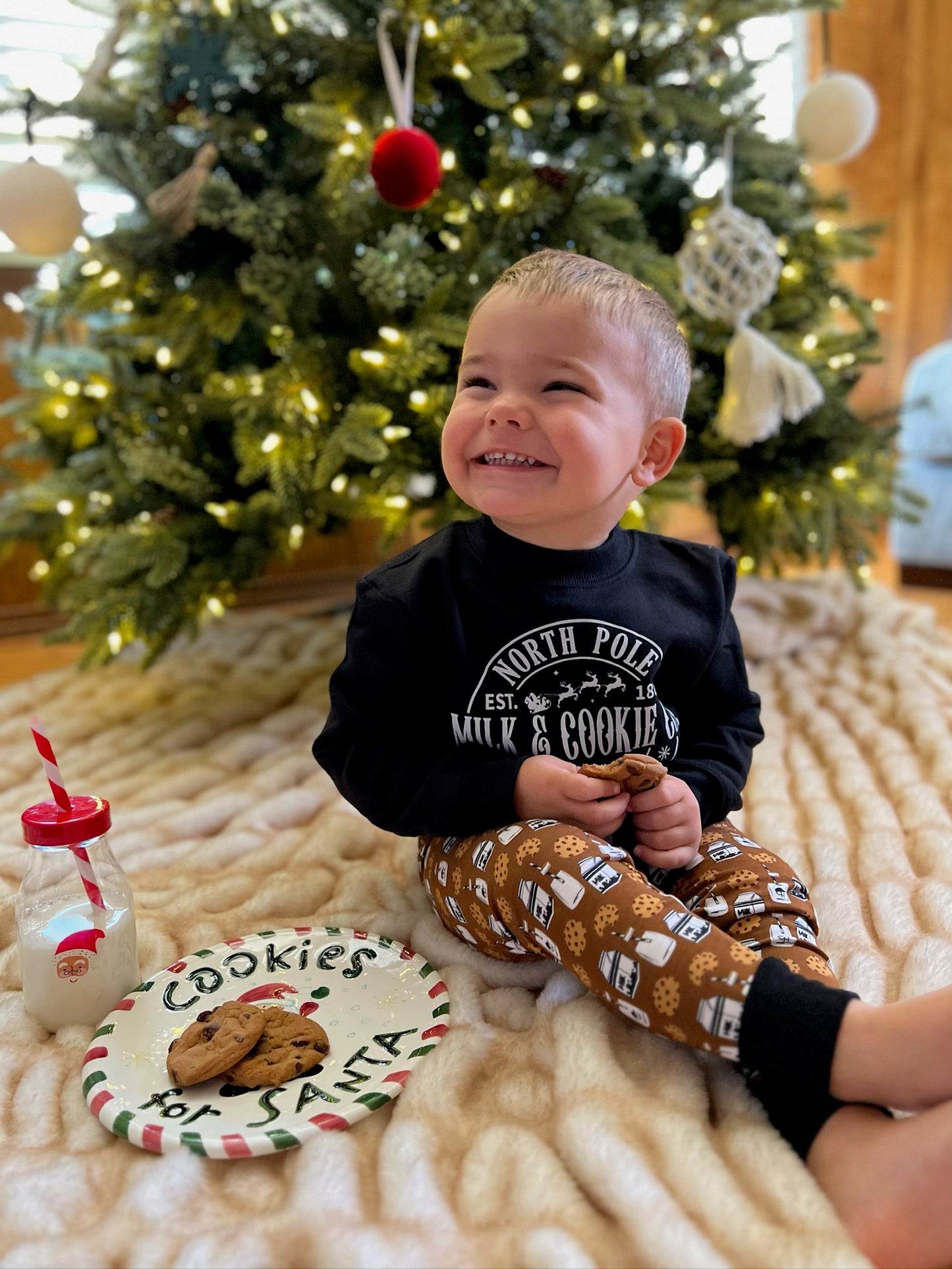 Milk and cookies