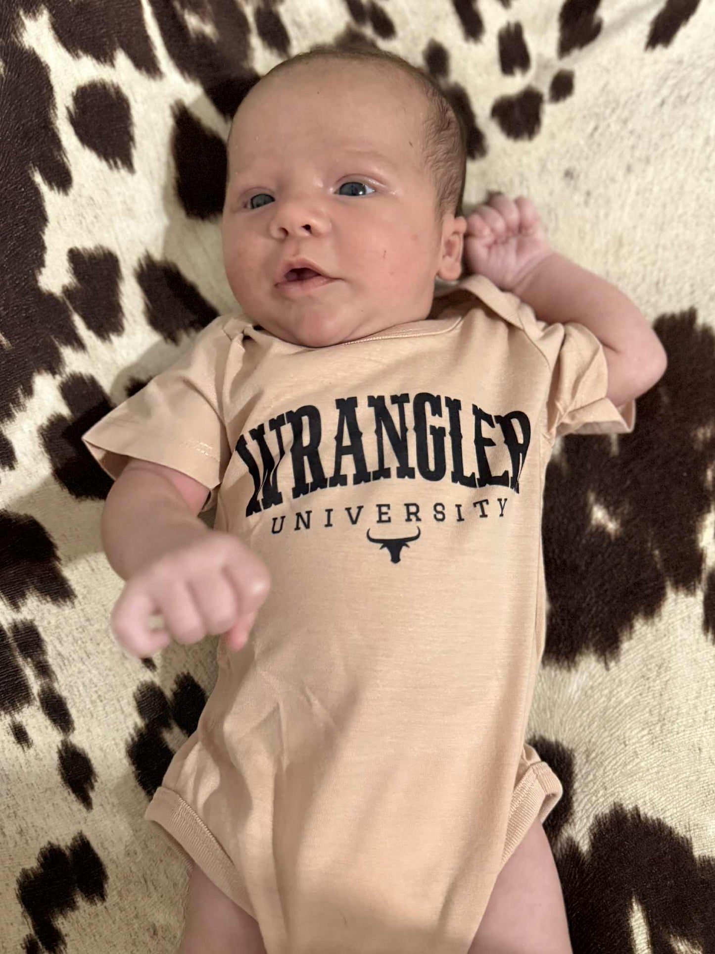 Wrangler university