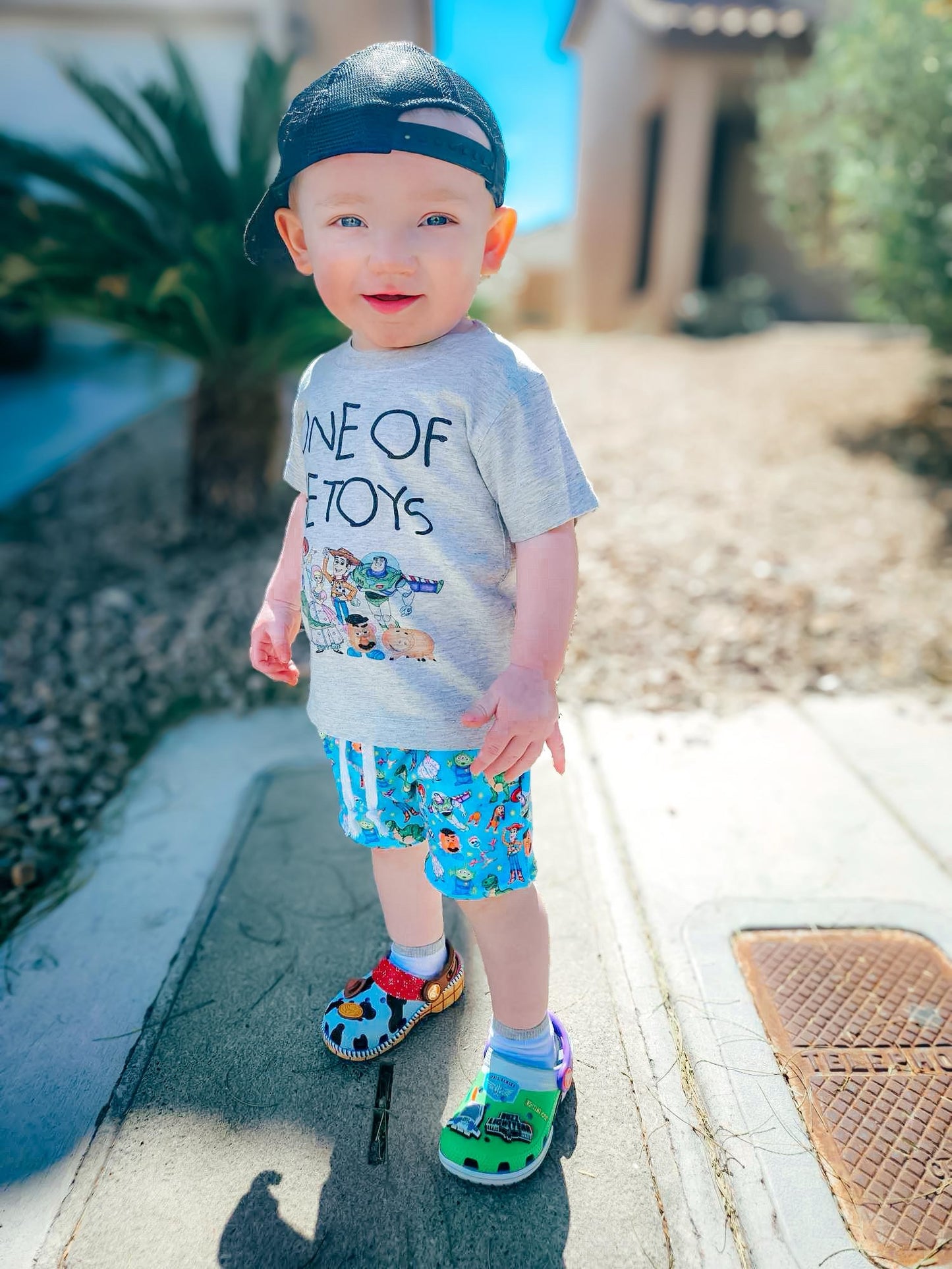 One of the toys( shirt only)