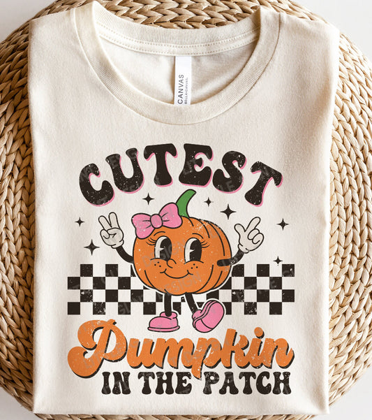 Cutest pumpkin at the patch