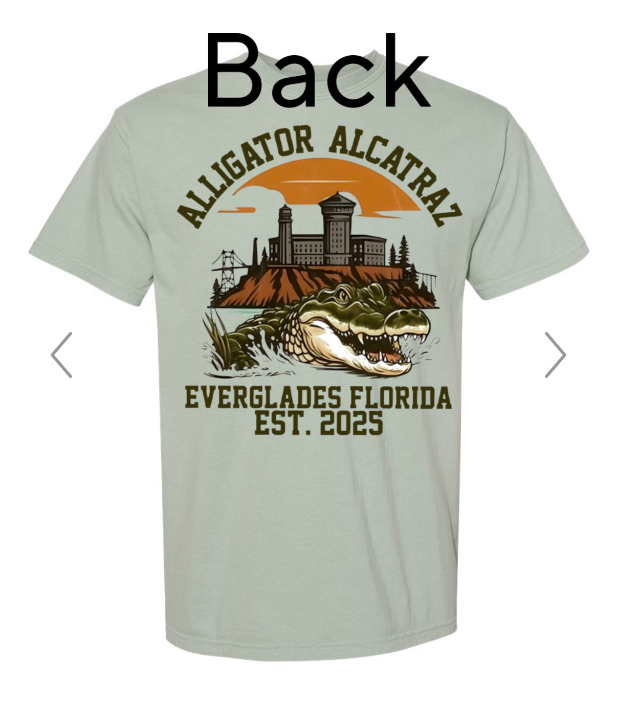 Alligator Alcatrez