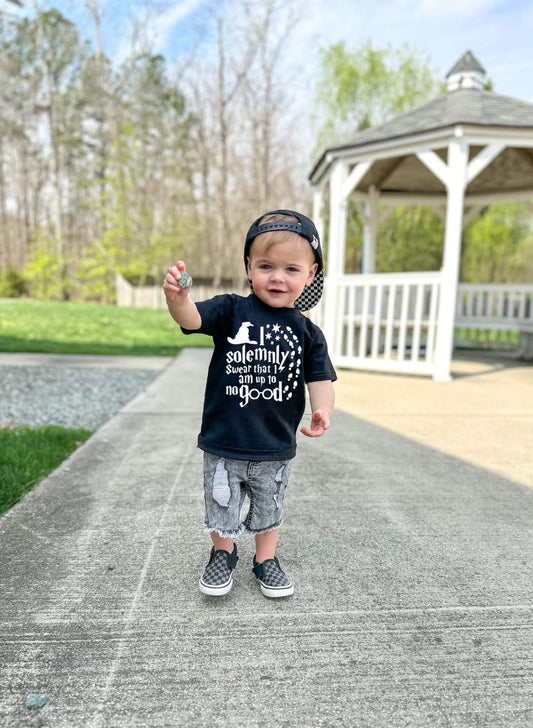 I solemnly swear that I am up to no good