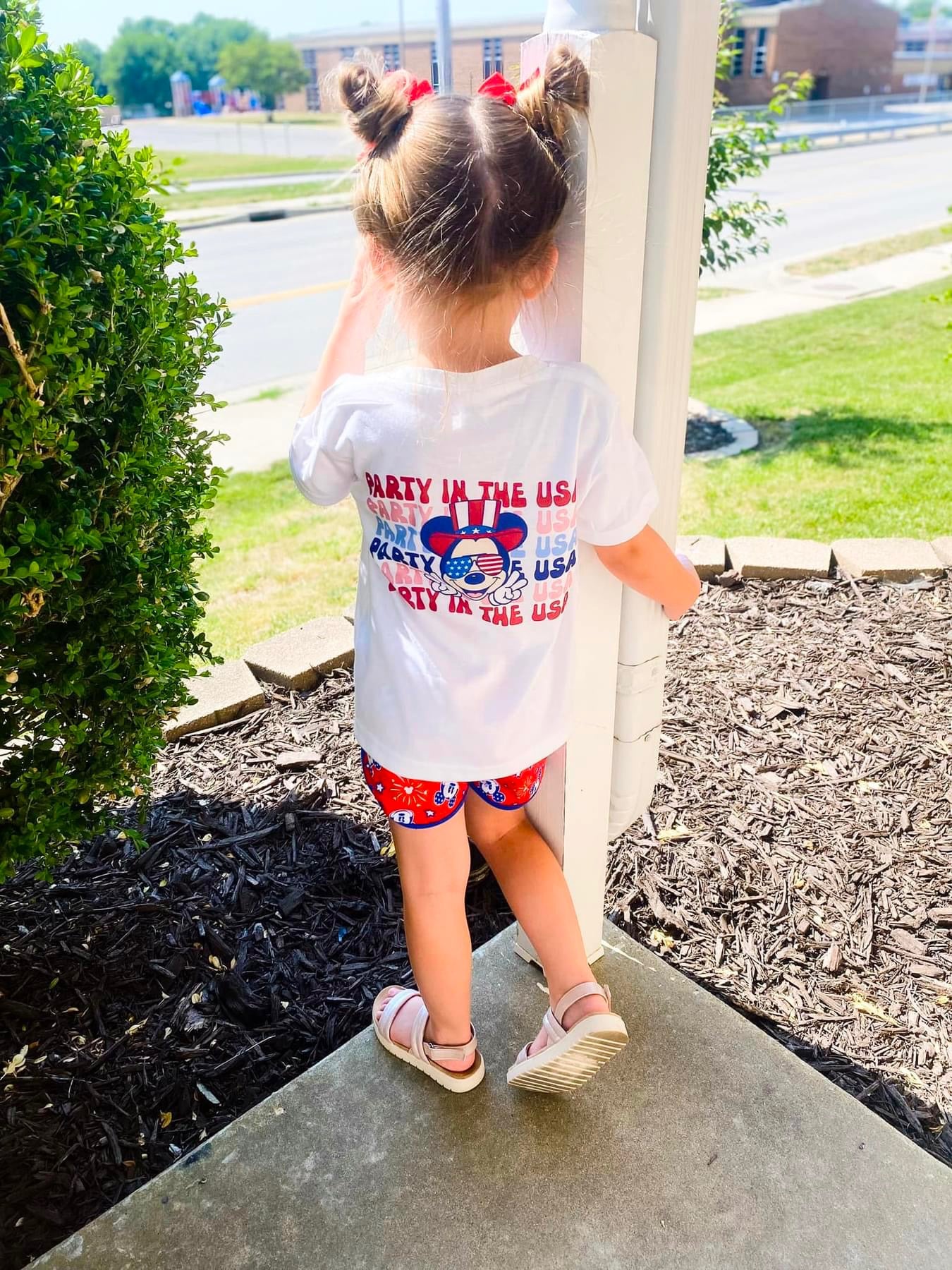 Party in the USA mouse