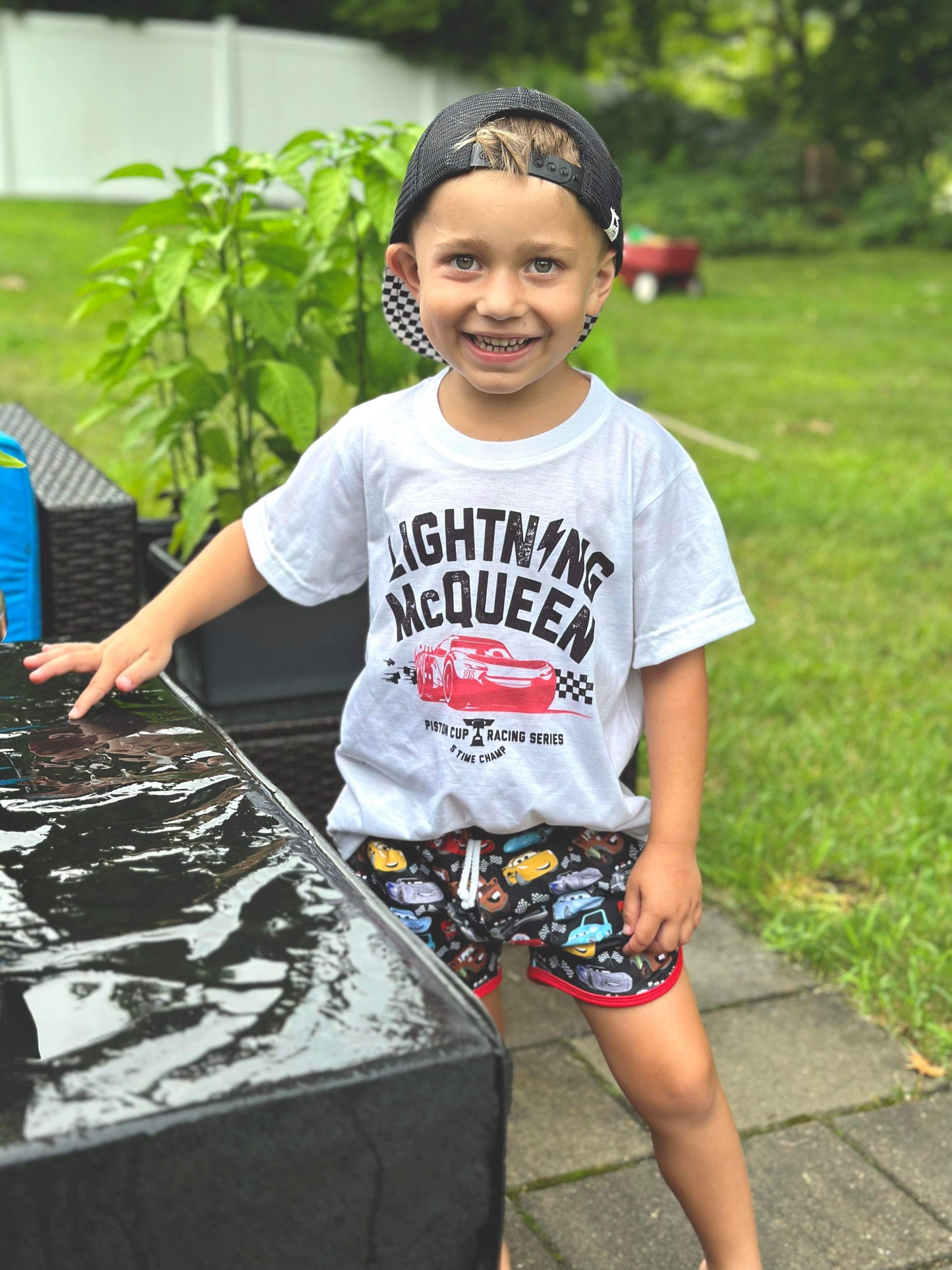 Radiator springs (white)