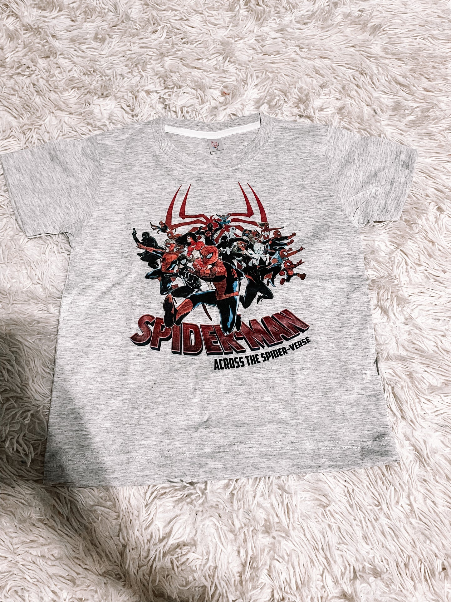 Across the spider universe