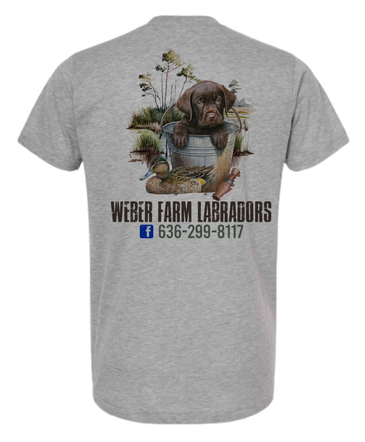 Weber farm Labradors