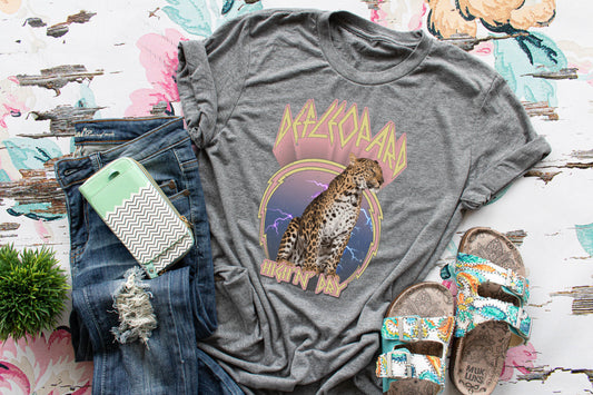 Def leopard high and dry