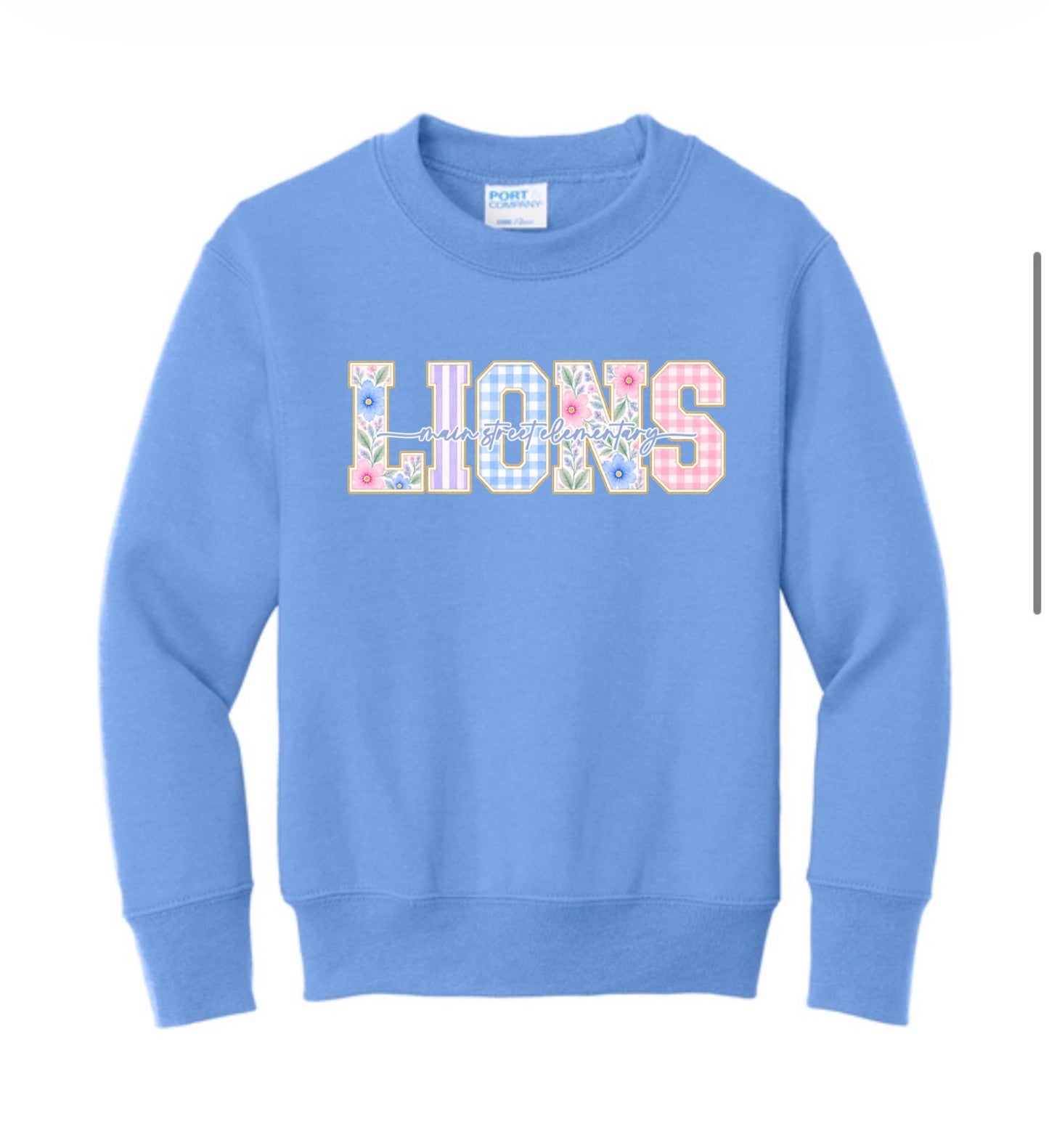 Main Street elementary lions