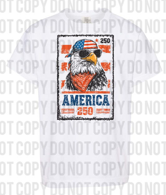 America