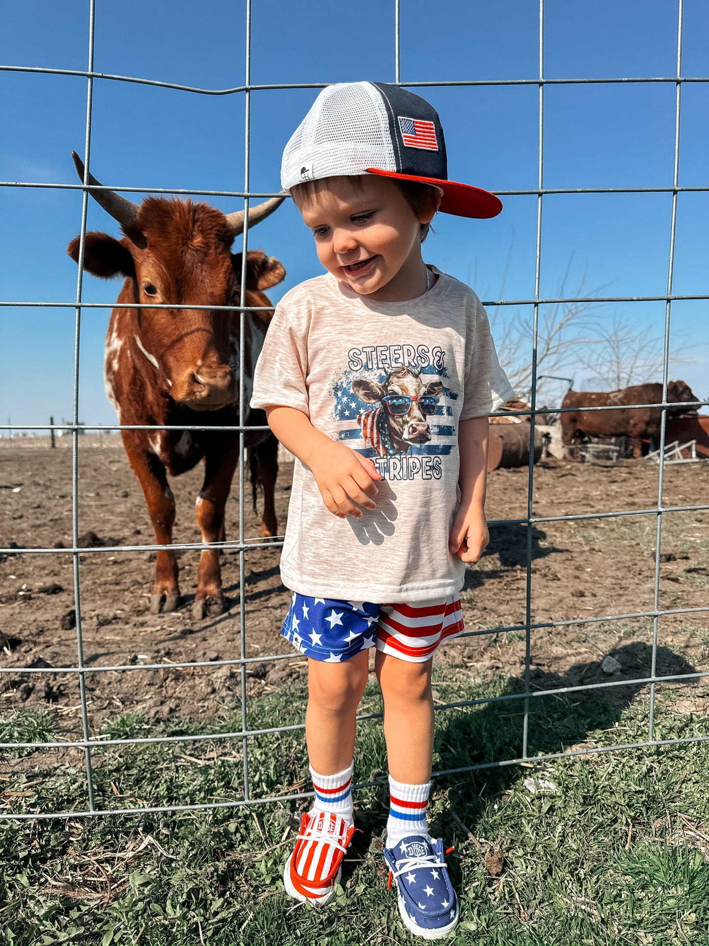 Steers and stripes