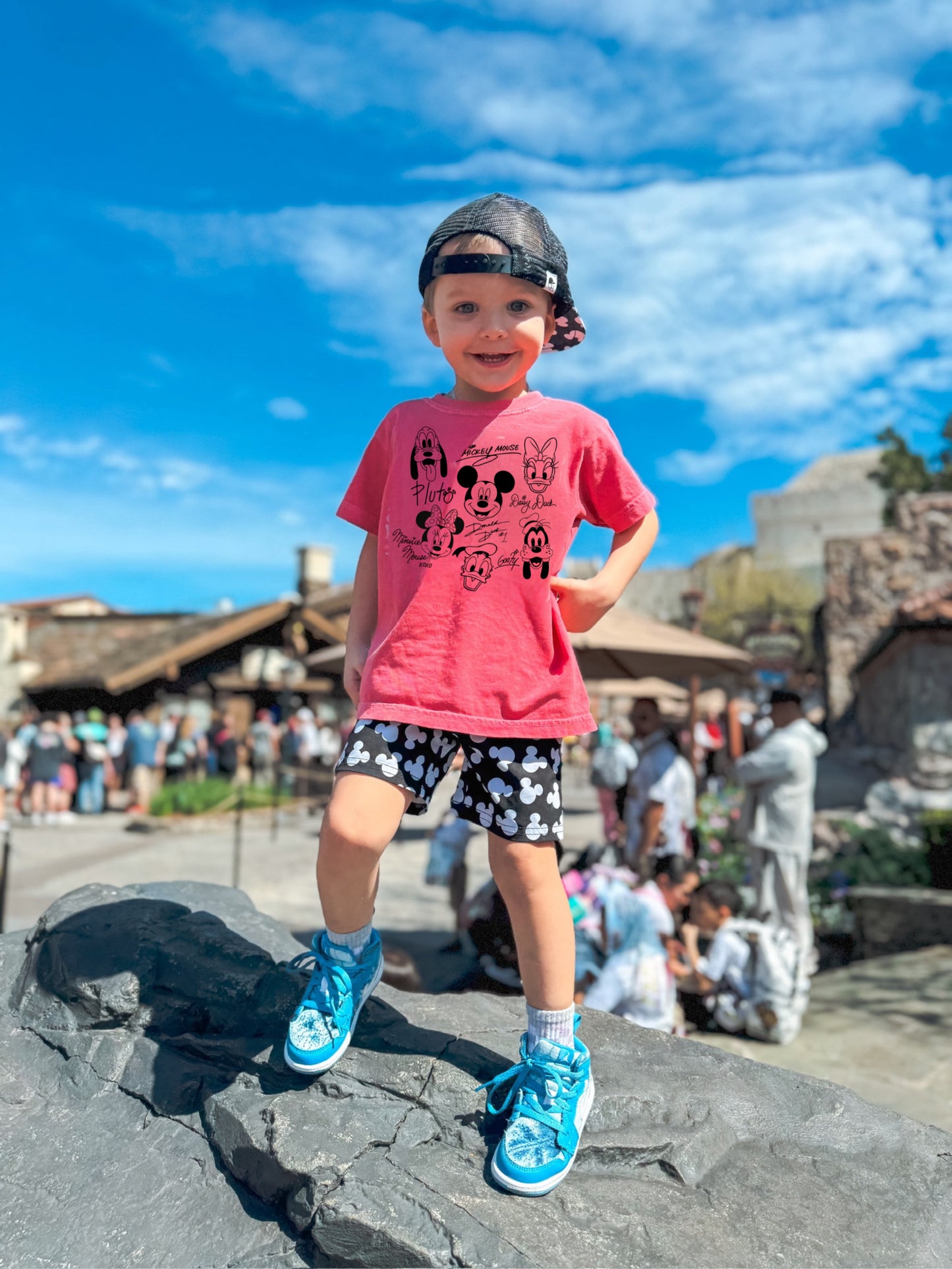 Mouse and friends signatures