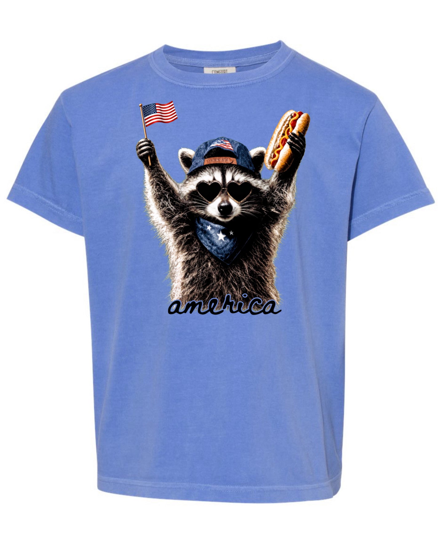 4th of July raccoon