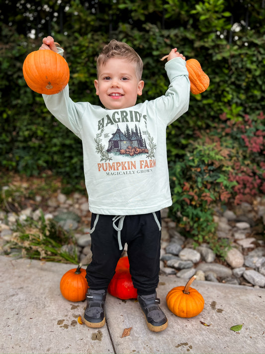 Hagrids pumpkin farm