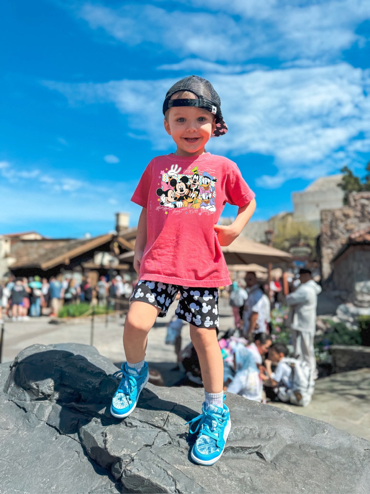 Mouse and friends with checks