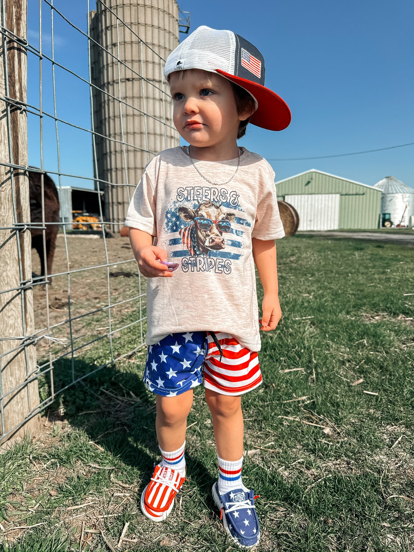 Steers and stripes