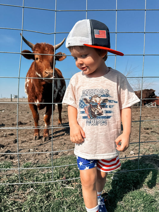 Steers and stripes