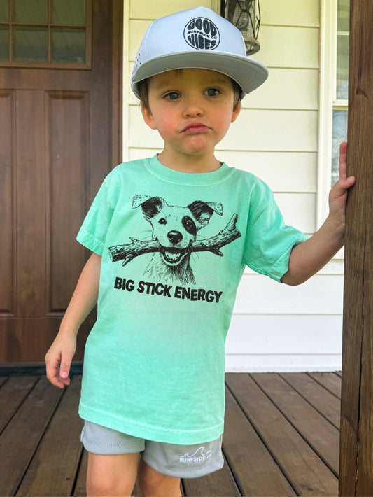 Big stick energy