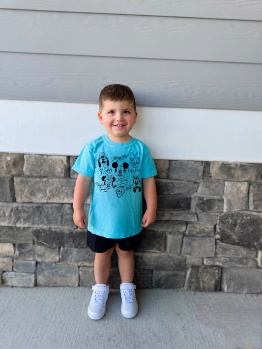 Mouse and friends signatures