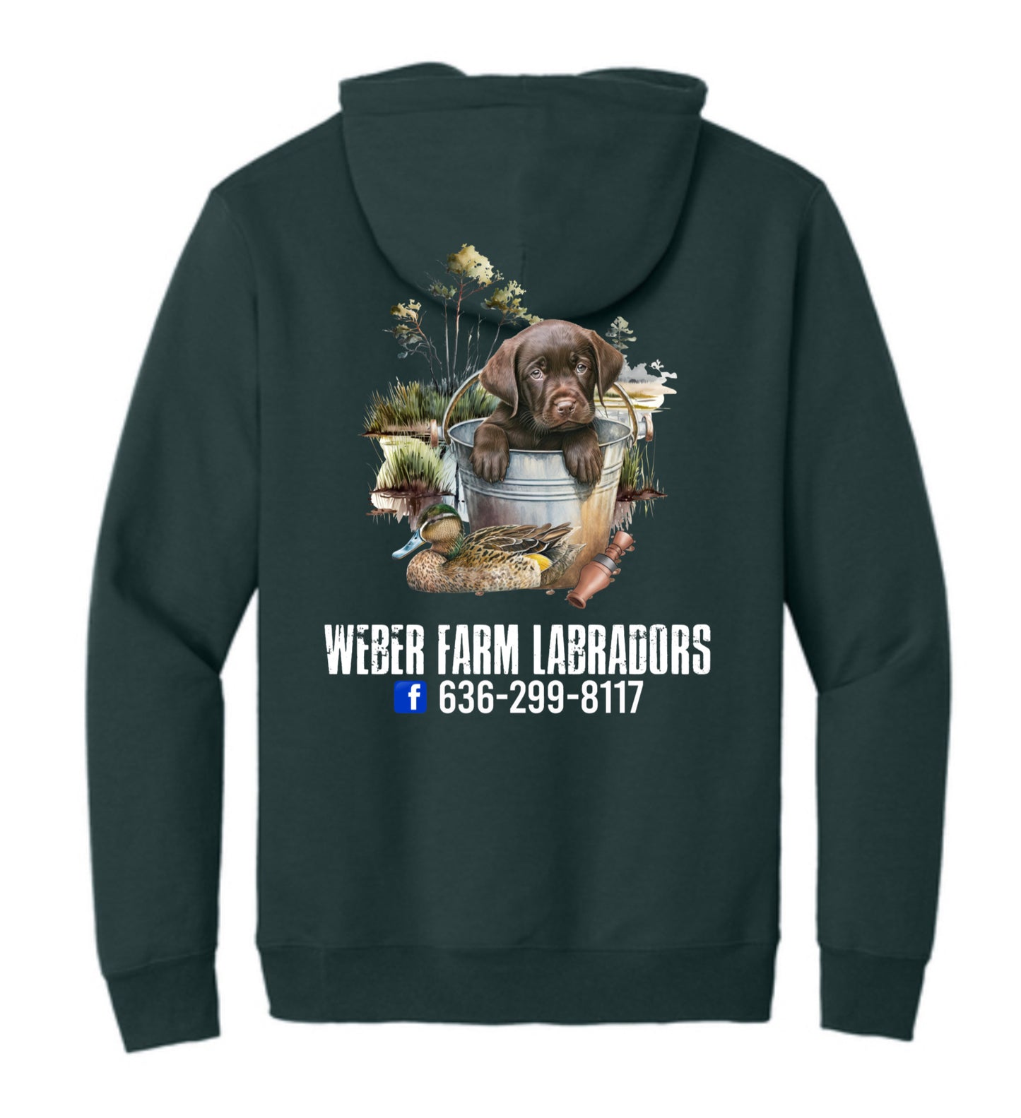 Weber farm Labradors