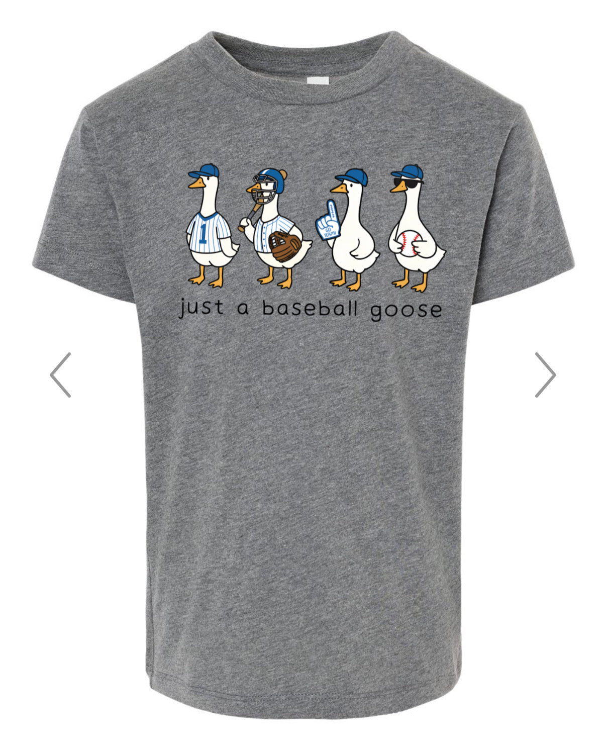 Just a baseball goose