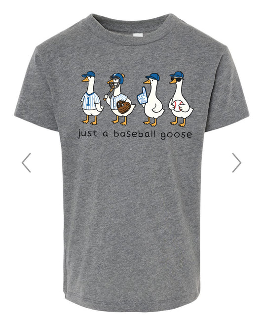 Just a baseball goose