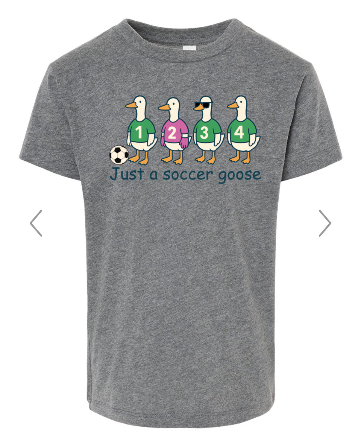 Just a soccer goose