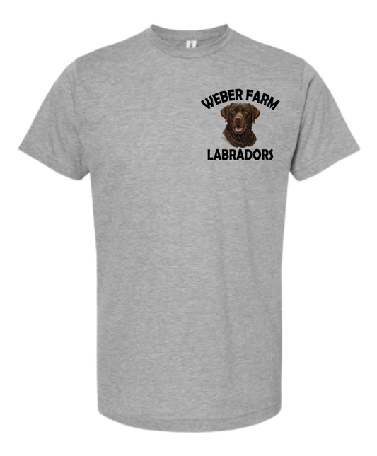 Weber farm Labradors