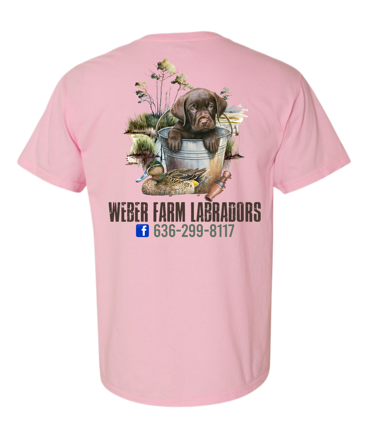 Weber farm Labradors